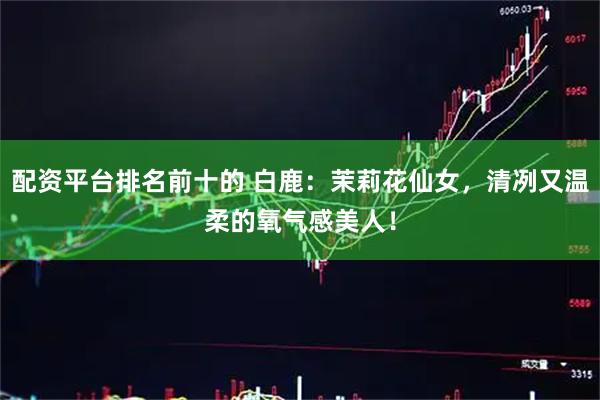 配资平台排名前十的 白鹿：茉莉花仙女，清冽又温柔的氧气感美人！